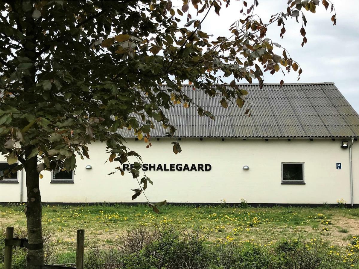 Apartament Refshalegaard Engesvang Zewnętrze zdjęcie
